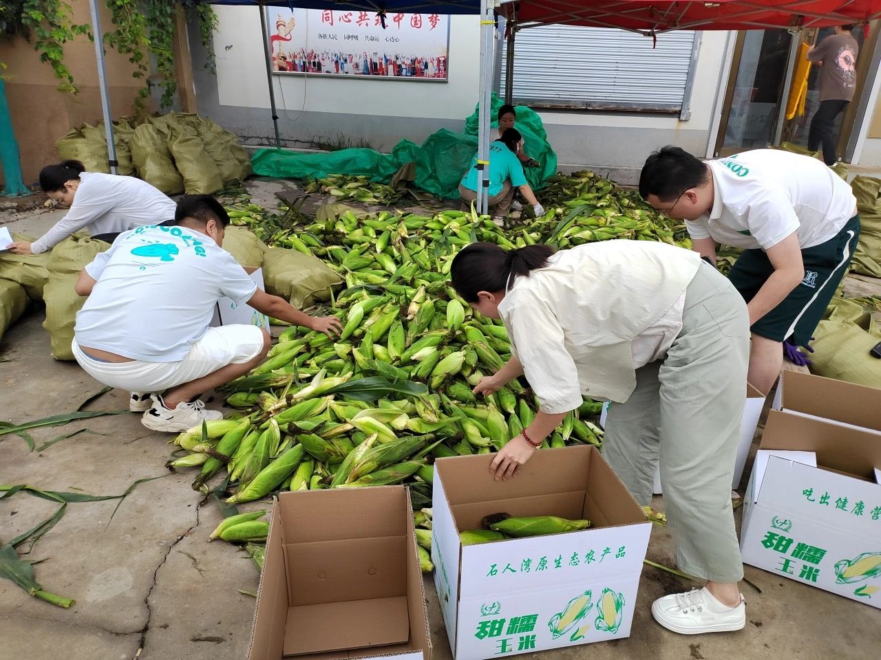 &#20061;&#28216;&#32593;&#39029;&#29256;&#30331;&#24405;&#20837;&#21475;&#45;&#20061;&#28216;&#40;&#20013;&#22269;&#41;