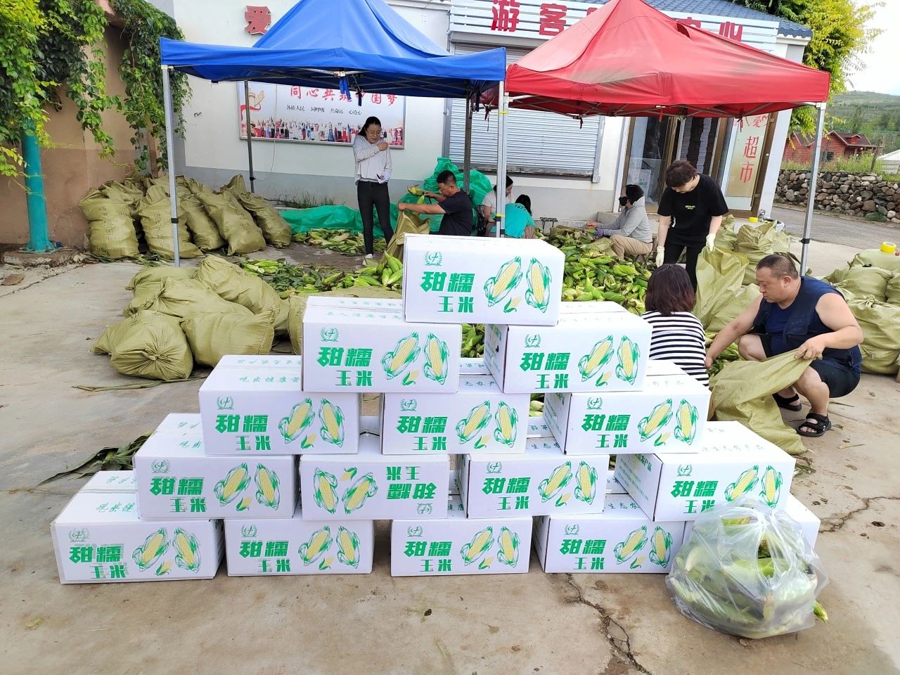&#20061;&#28216;&#32593;&#39029;&#29256;&#30331;&#24405;&#20837;&#21475;&#45;&#20061;&#28216;&#40;&#20013;&#22269;&#41;